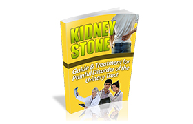 Kidney Stone WP Ebook Template